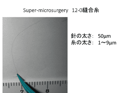 スーパーマイクロサージャリー 12-0吻合糸